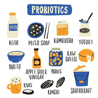 minuman probiotik i